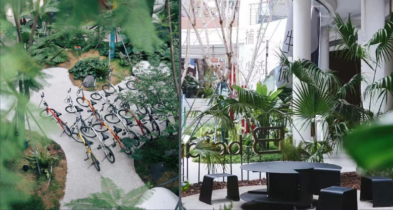 栖息地Habitat9