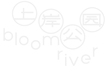 上岸公园BloomRiver 